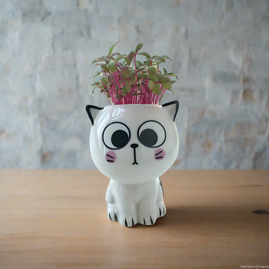Cute Ceramic Cat Planter